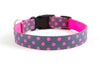 Buckle Dog Collar in Zoe (pink)